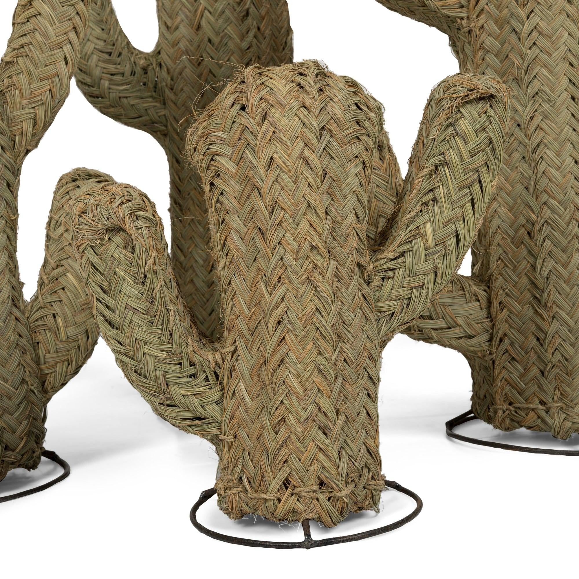 Cactus Decorativo de Fibra Vegetal 100% Natural y Ecológica Biodegradable Modelo Iabisun