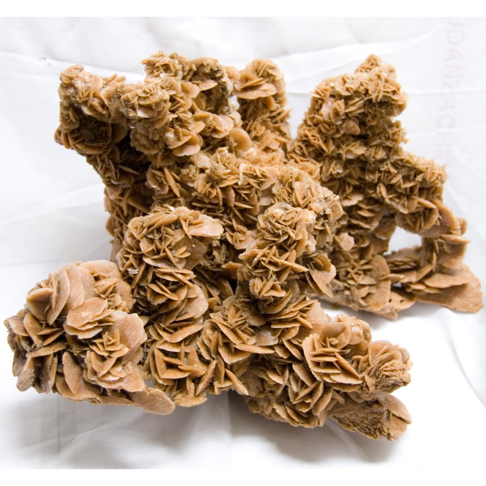 Rosa del Desierto del Sáhara - Pieza Unica - GIGANTE