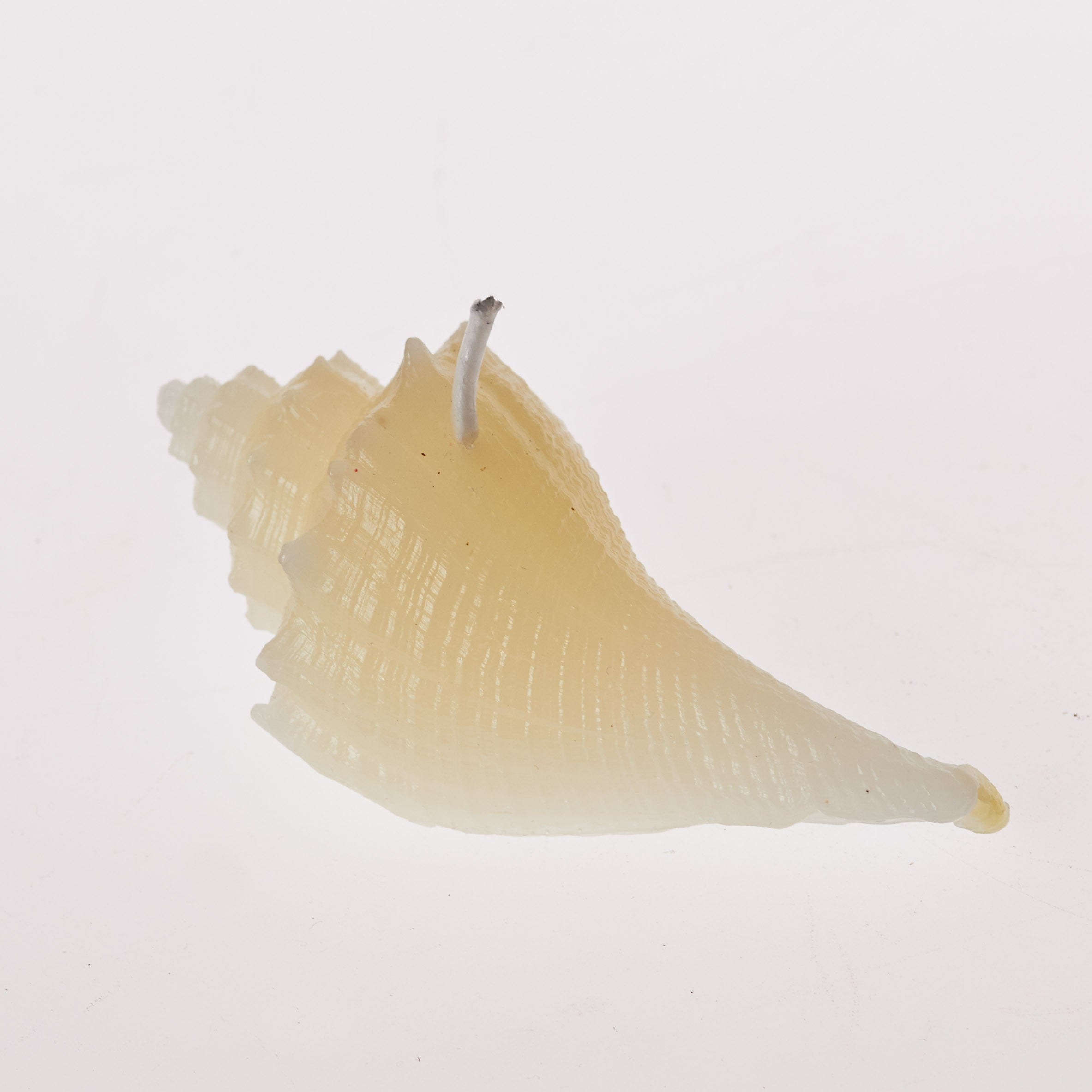 Vela- Caracola- Parafina