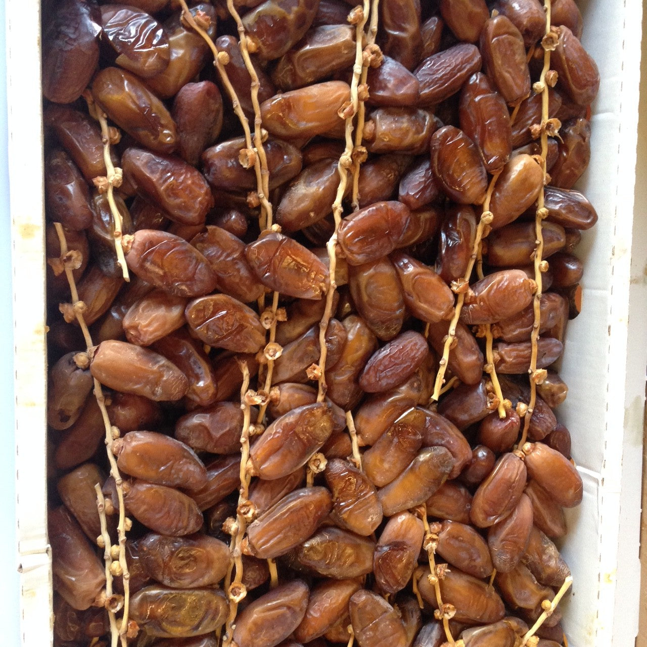 Dátil en Rama "Al-Madina" - Tunez - Primera Categoria - 5 kg - Caja Regalo