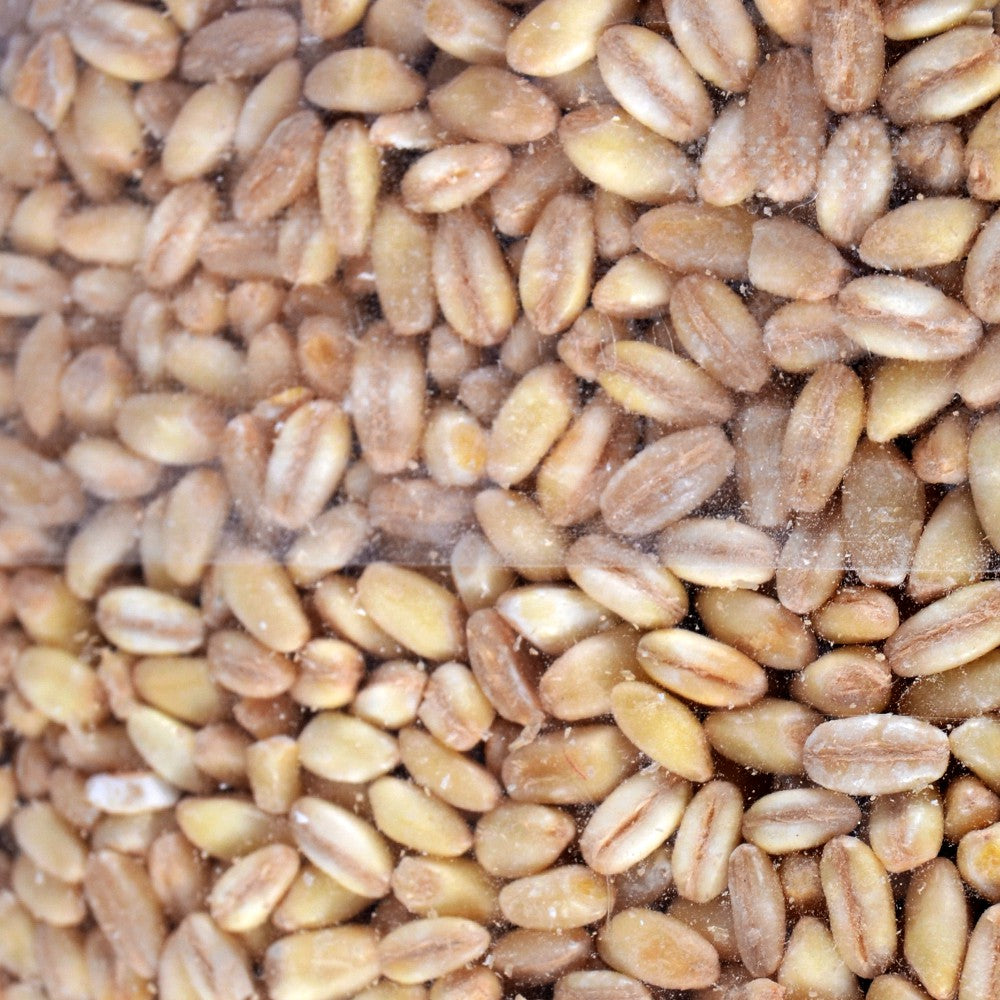 Trigo - Ideal Blakiyat - MEMISLER GROUP - 900 g