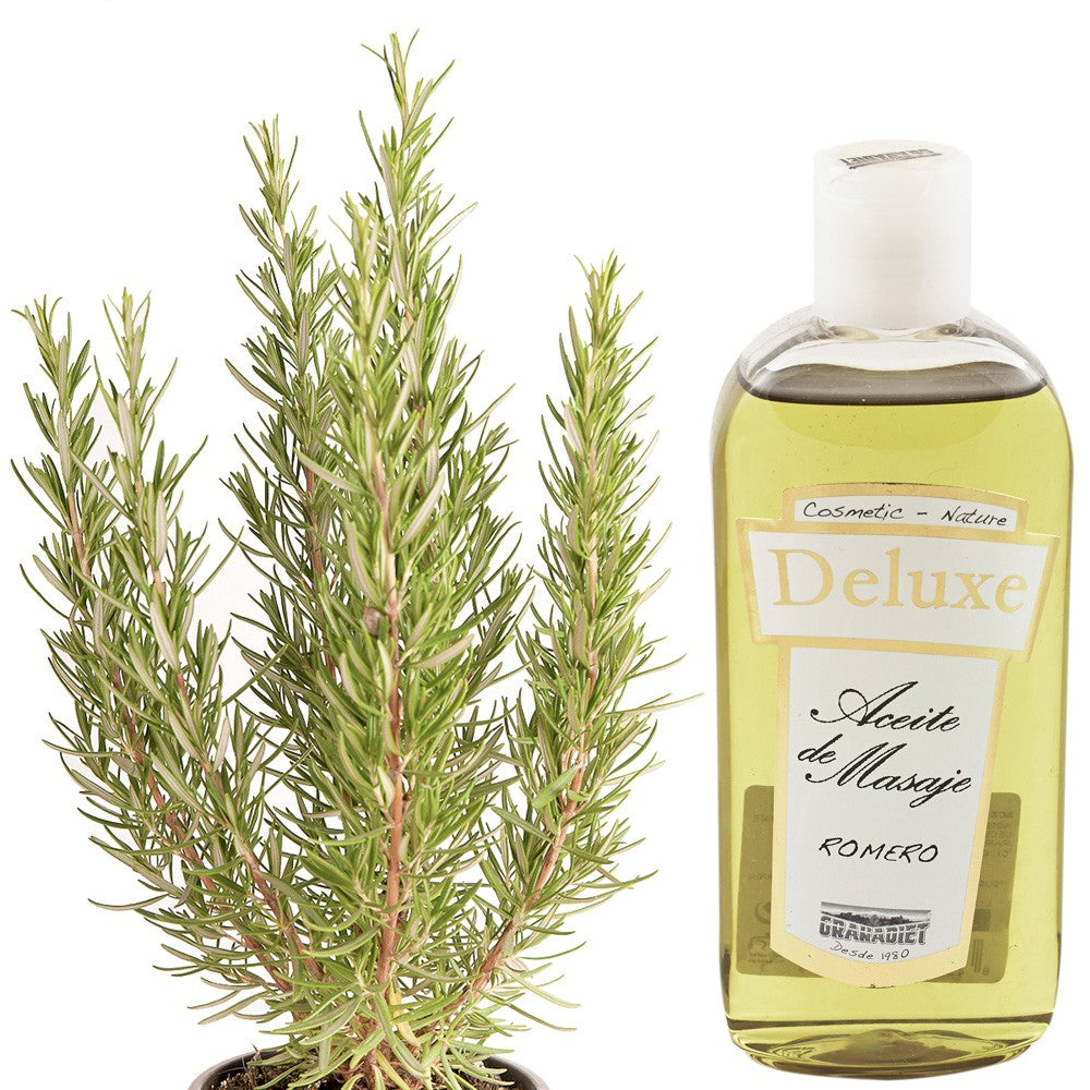 Aceite de Masaje Romero - 250 ml