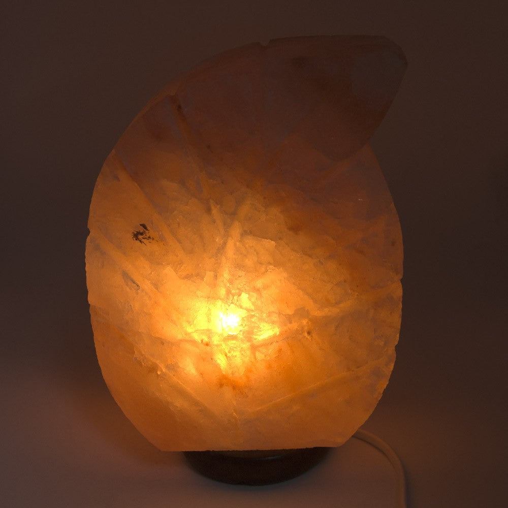 Lámpara Sal del Himalaya - Modelo Hoja