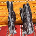 Fósiles y Minerales