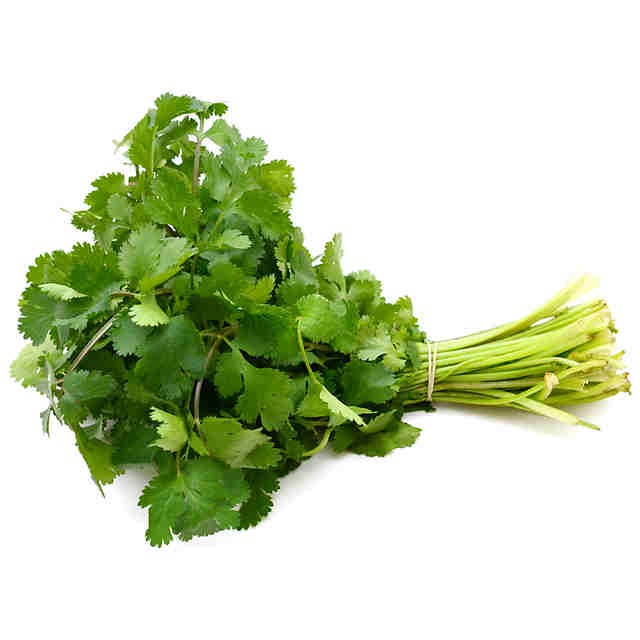 Cilantro fresco - Gran Calidad - 1 Manojo