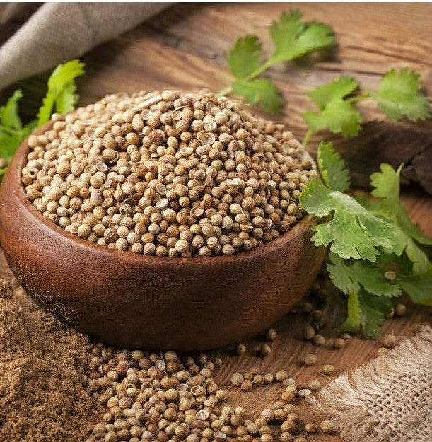 Cilantro en Grano - Selección especias Oriente - Ruca