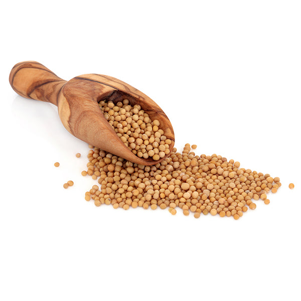 Mostaza Amarilla en Grano - Selección Especias Oriente - Ruca - 1Kg