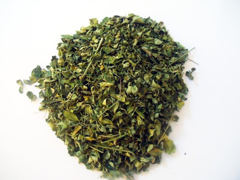 Hojas de Moringa Deshidratadas - Super Alimento - Moringa Oleifera - Zena - 100gr