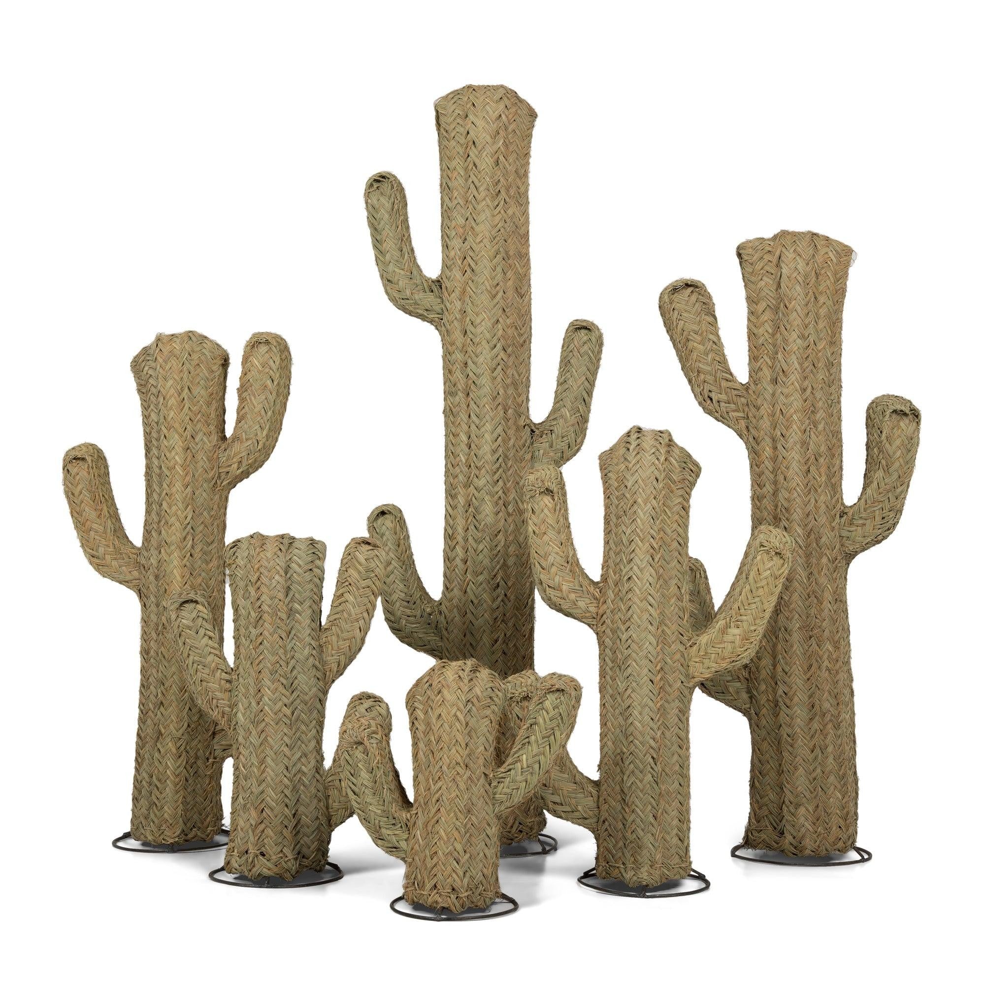 Cactus Decorativo de Fibra Vegetal 100% Natural y Ecológica Biodegradable Modelo Iabisun
