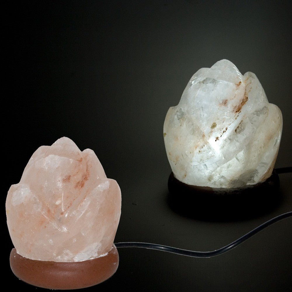 Forma de Rosa - Mini Lámpara USB - Sal Rosa del Himalaya - Color Naranja