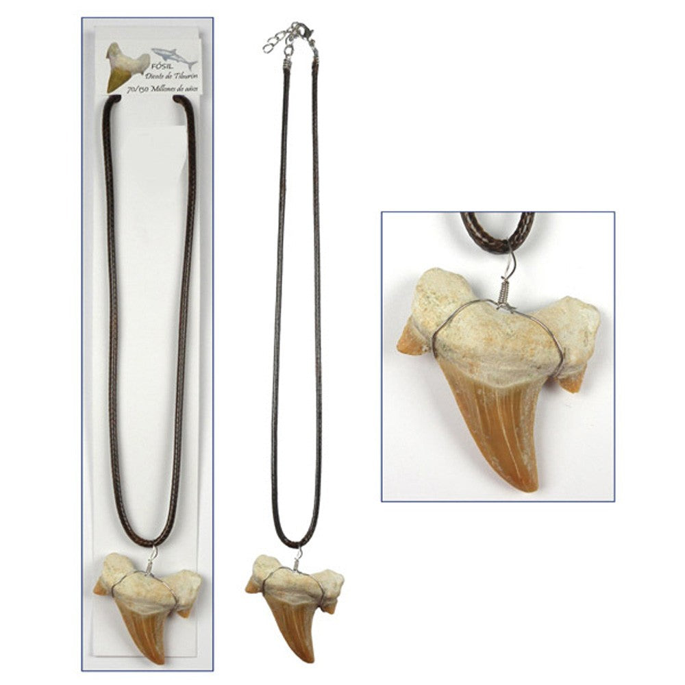 Colgante Diente de Tiburón Fósil - 3 cm - Desierto del Sáhara