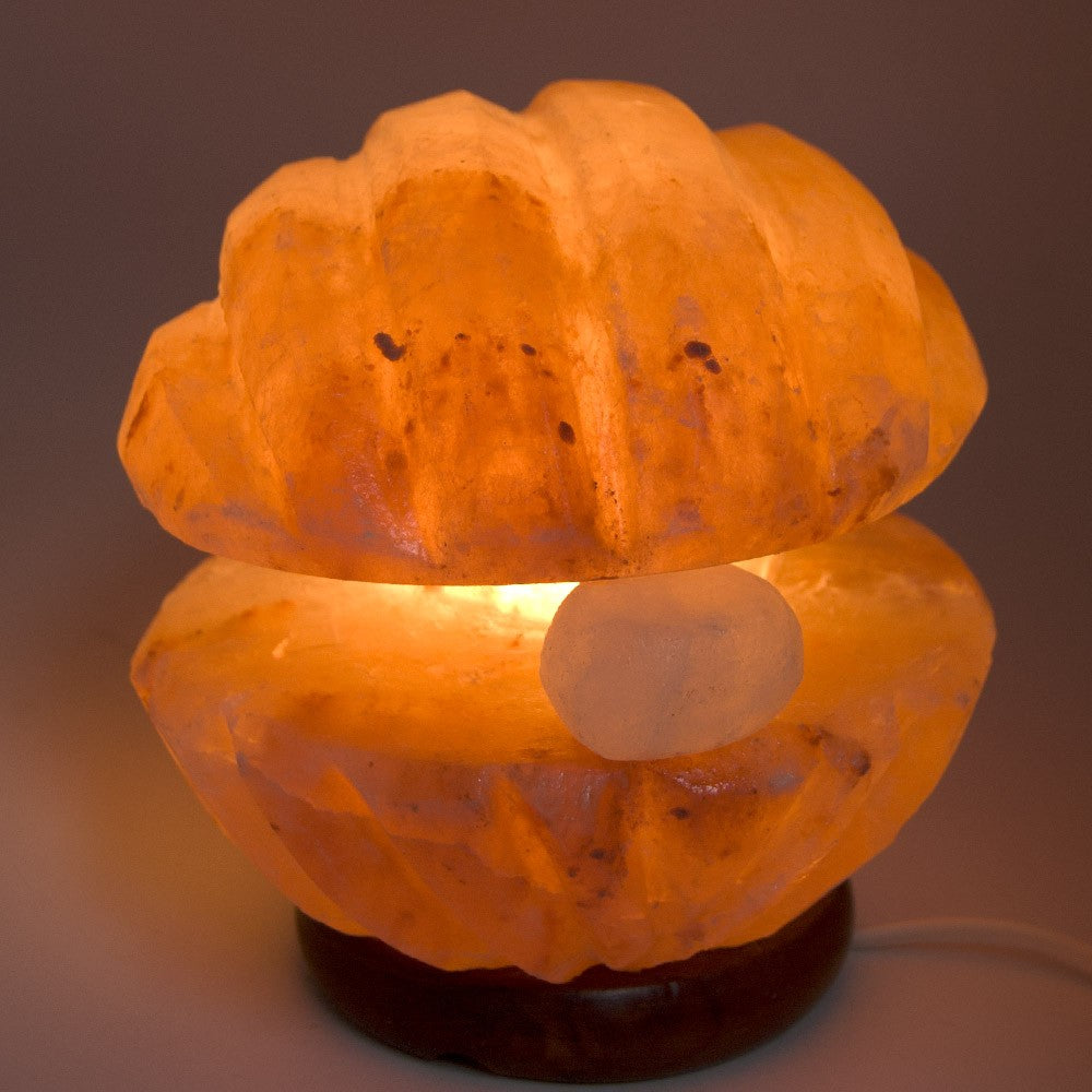 Lámpara Concha de Sal Pulida - Natural - Himalaya