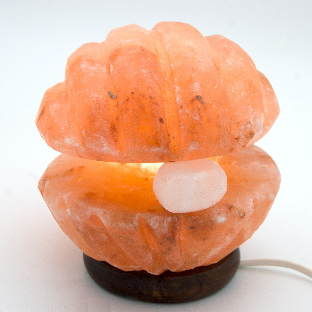Lámpara Concha de Sal Pulida - Natural - Himalaya