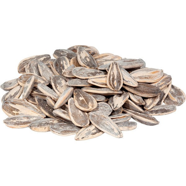 Pipas XXL con Sal - Frutos Secos - (1Kg.)