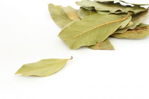Hoja de Laurel Seco - Bote - 20gr.