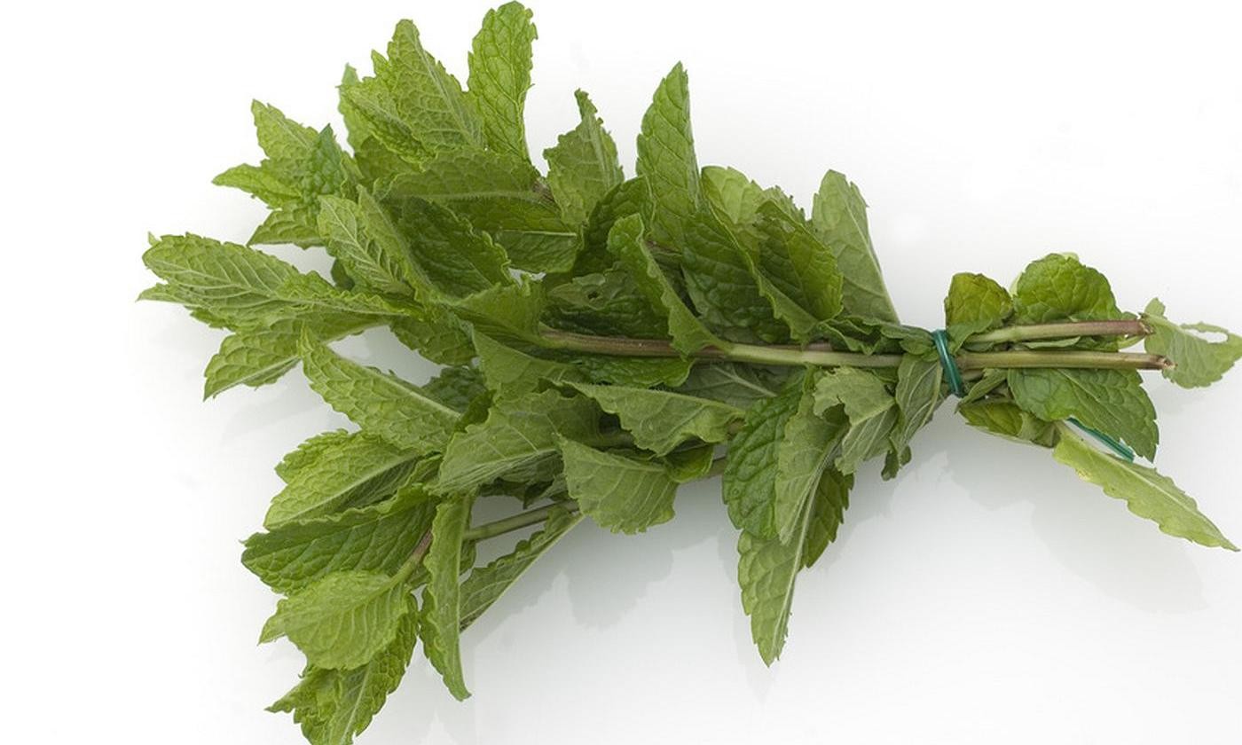 Manojo Hierbabuena Fresca - 1 Manojo